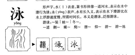 泳字五行|泳字的五行属性